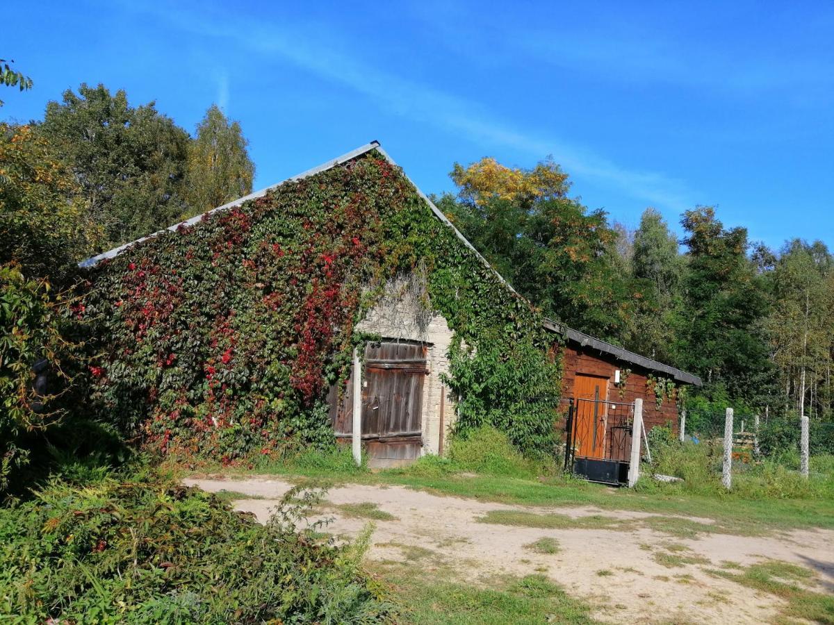 Agroturystyka Pod Dobrymi Skrzydlami Wiski Exterior photo